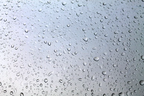 Rain water drops — Stock Photo, Image