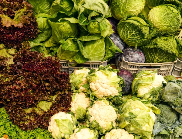 Green vegetables, lettuce, cauliflower, cabbage on display, no people