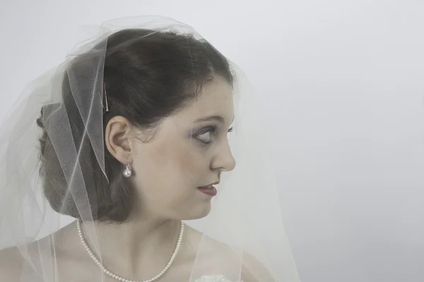 Close-up of young bride wearing veil — Stock Photo, Image