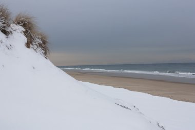 Newcomb'ın içi boş Beach, Wellfleet Massachusetts
