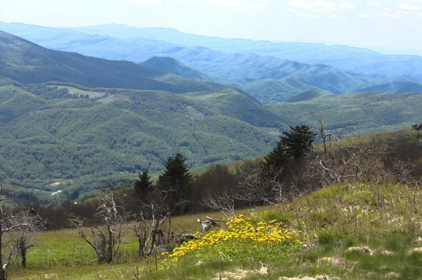 Vit top mountain, virginia — Stockfoto