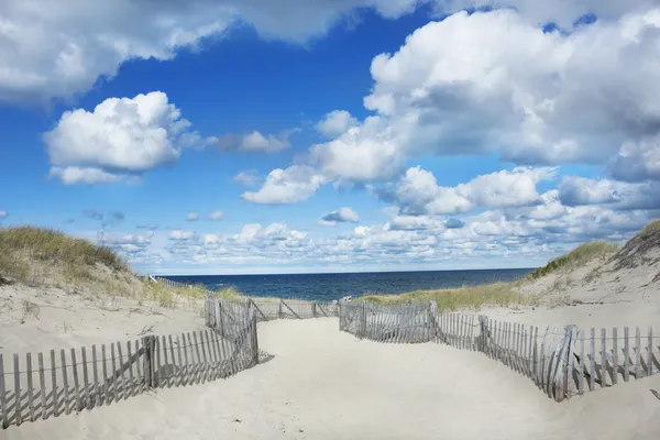 Point de course, ma provincetown — Photo