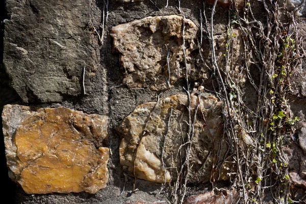 Mur en pierre avec fond de lierre — Photo
