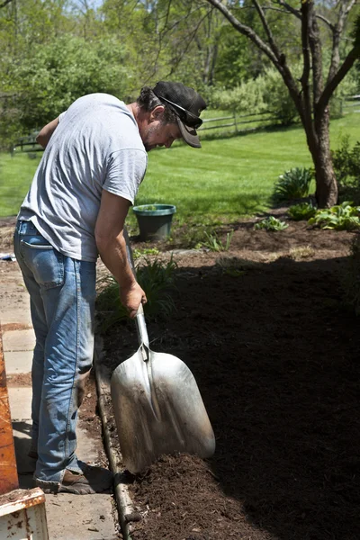 Man with shovel landscaping — Stock Photo, Image