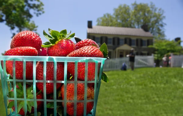 Korg med jordgubbar på staket — Stockfoto