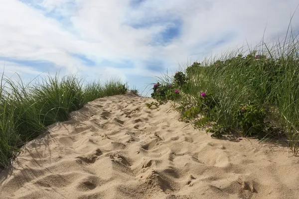 Playa en Cape Cod en Massachusetts — Foto de Stock