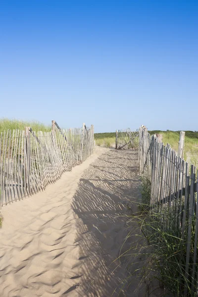 Sentiero che conduce alla spiaggia di Cape Cod — Foto Stock