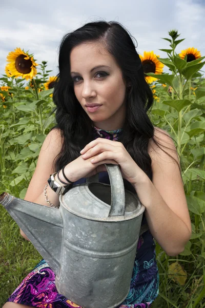 Junge Frau im Sonnenblumenfeld — Stockfoto