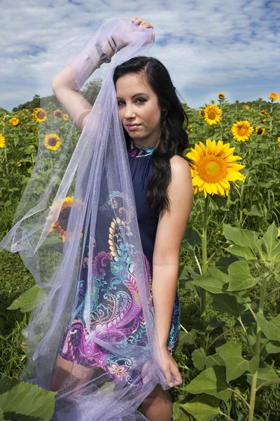 Молодая женщина на подсолнечном поле — стоковое фото