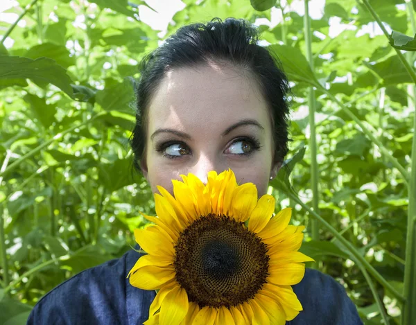 Frau hält sich Sonnenblume ins Gesicht — Stockfoto