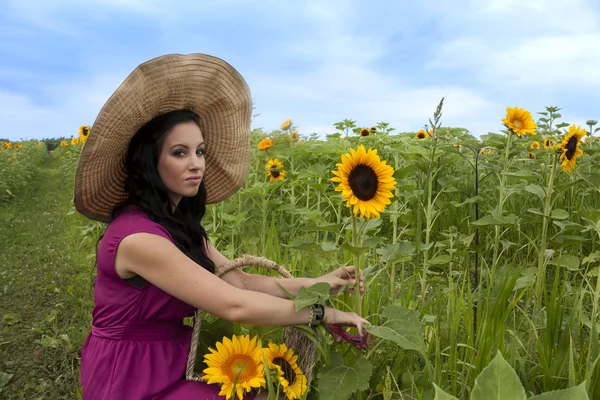 Krásná žena řezání slunečnice — Stock fotografie