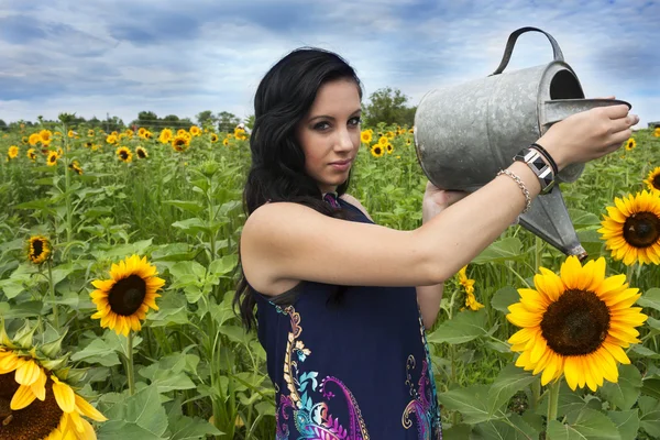 Frau gießt Sonnenblumen — Stockfoto