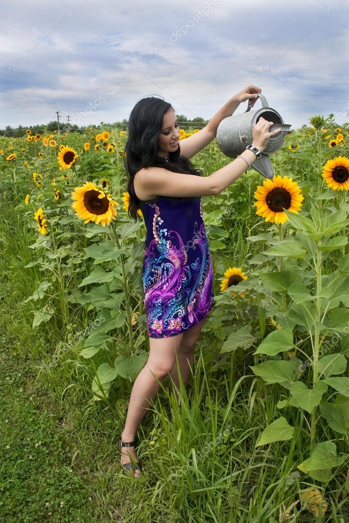 Woman watering sunflowers — Stock Photo © cindygoff 50675271