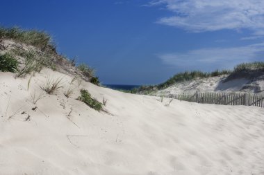 yarış nokta, provincetown, ma