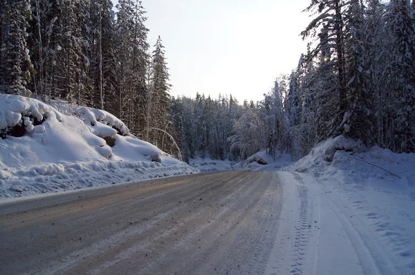 Natura in inverno — Foto Stock