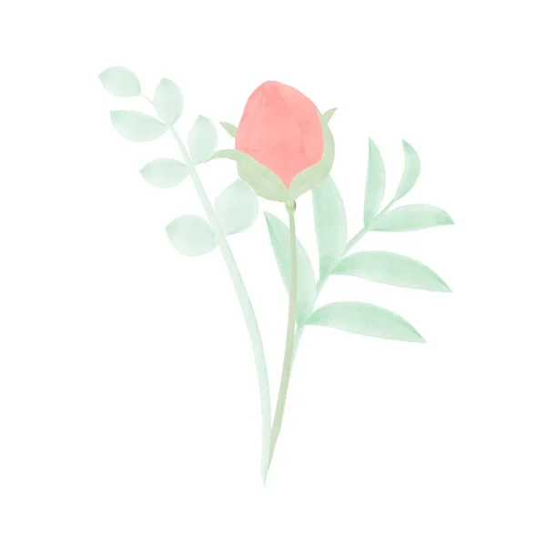 Vector Illustration Bouquet Greenery Bud Flower Isolated White Background Rose — Διανυσματικό Αρχείο
