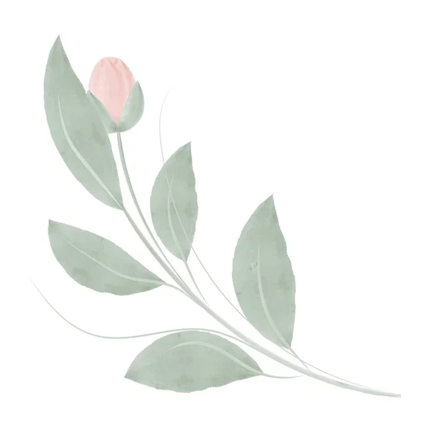 Watercolor Twig Green Leaves Flower Rose Bouquet Vector Illustration Isolated — 스톡 벡터