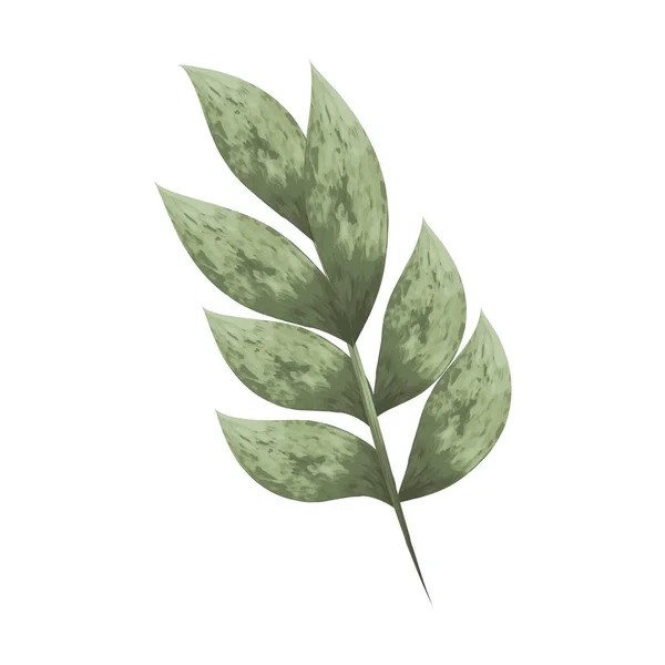 Zielony Listowie Gałąź Roślina Oddzielnie Biały Tło Akwarela Malowane Listowie — Wektor stockowy