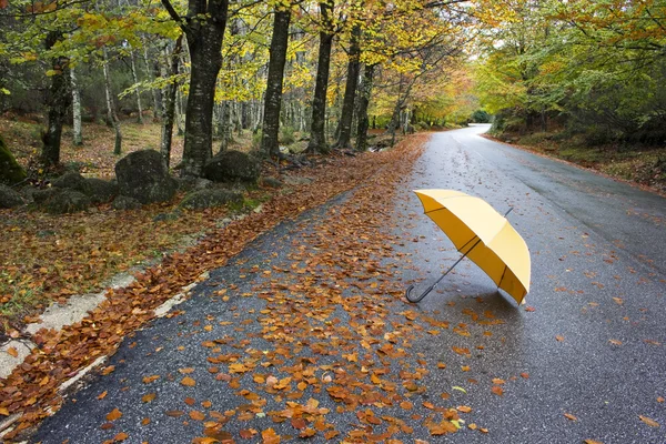 Kolorowe jesienne drzewa i parasol na krętej drodze Obraz Stockowy