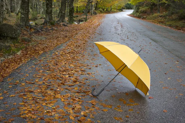 カラフルな秋の木々、曲がりくねった田舎道で傘 ストック写真