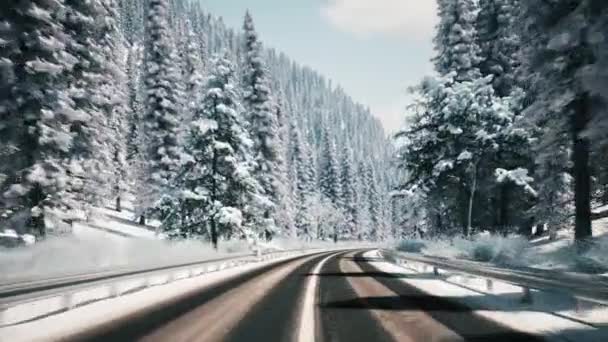 Jeżdżę Zimowym Lasem Samochód Przejeżdżający Zimą Przez Śnieżny Las Sosnowy — Wideo stockowe