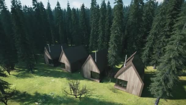 森林里的茅屋 冬天已经来到了森林里 天气已经过去了 森林里的雪 绿色雪白色的森林 3D可视化 — 图库视频影像