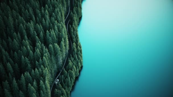 Vue Aérienne Voiture Qui Traverse Forêt Lac Forêt Sapins Bord — Video