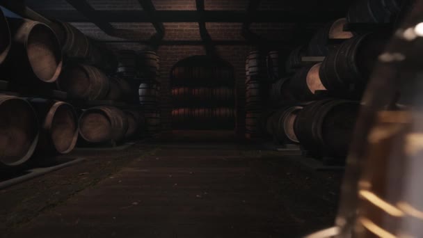 樽の中のウィスキーの貯蔵室 ウィスキーの試飲 アルコール倉庫だ 3Dアニメーション — ストック動画