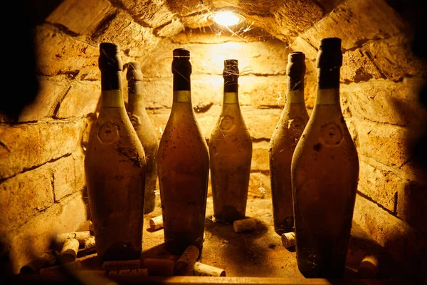 vintage bottles of wine in an old cellar
