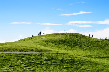 Green hill under a blue sky clipart