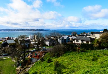 Bakınlan Kerry Parkı'ndan seattle peyzaj