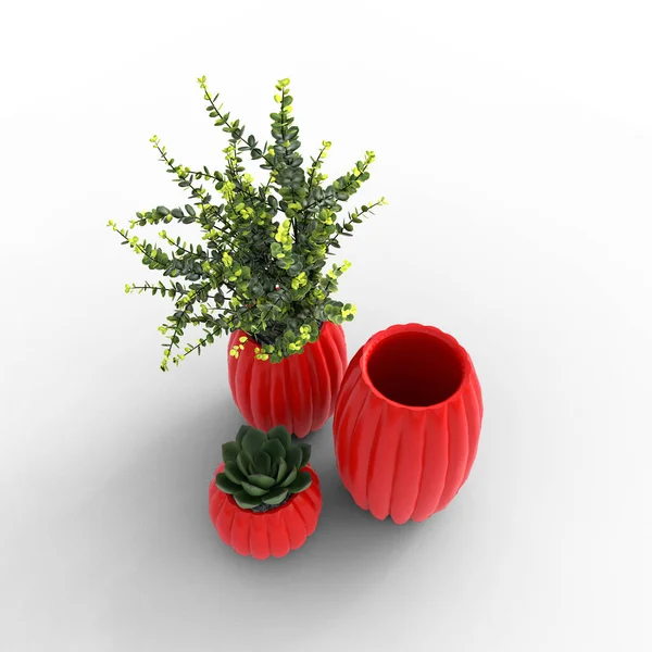 Vases Plants Succulents White Background Illustration — Stock Photo, Image