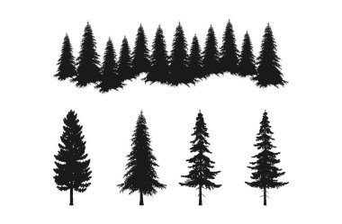 forest silhouettes of pine trees collections sets, isolated on white background