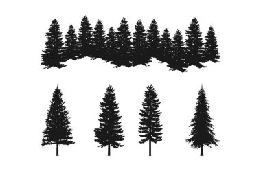 forest silhouettes of pine trees collections sets, isolated on white background