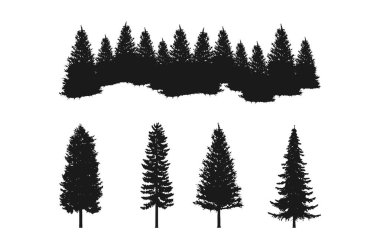 forest silhouettes of pine trees collections sets, isolated on white background