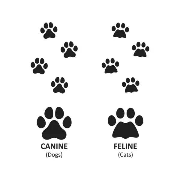 Beyaz arka planda izole edilmiş köpek ve kedi pençe izi sembolü..