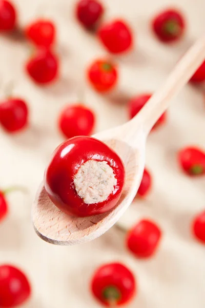 kırmızı dolmalık biber orkinos ile