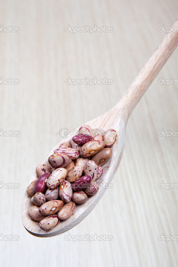 borlotti beans on a wooden spoon