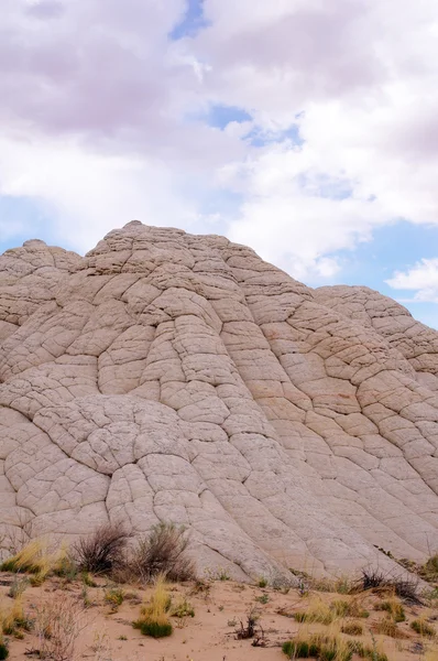 Bolsillo blanco en la meseta de Paria — Foto de Stock