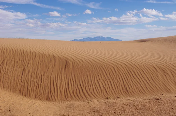 Піщана дюна в пустелі — стокове фото