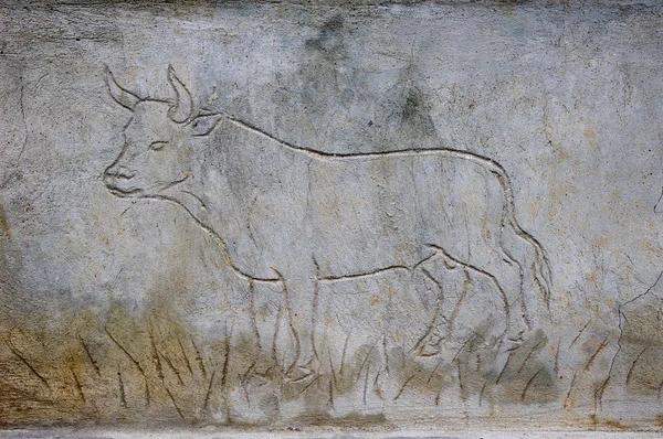 Gegraveerde bull op verse gips — Stockfoto
