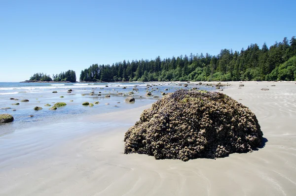 Marée basse sur la Long Beach. Île de Vancouver, Canada — Photo