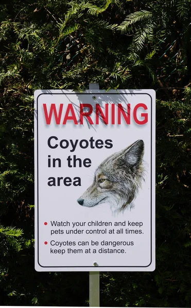 Ostrzeżenie, kojoty, na terenie parku, Kanada — Zdjęcie stockowe