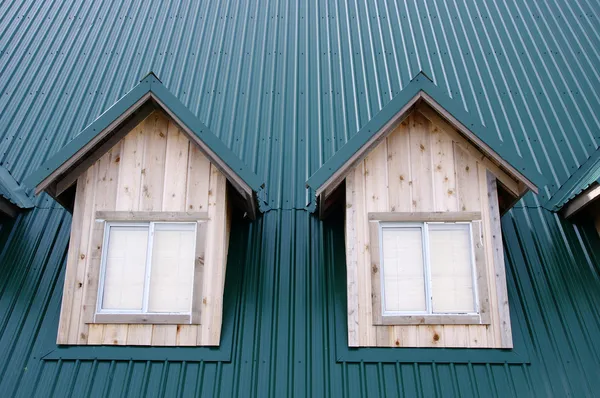 Две спальни с окнами на зеленой крыше Лицензионные Стоковые Фото