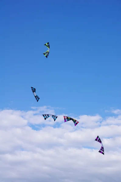 Five flying kites in the cloudy sky — Stock Photo, Image