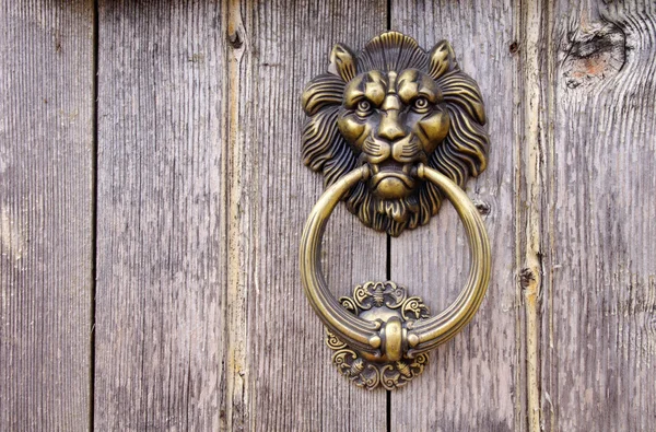 Testa di leone, battente porta — Foto Stock