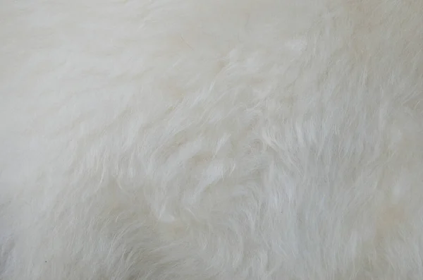 New Treated Sheepskin Fur Close — Fotografia de Stock