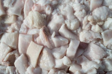 Melting lard in a tray close up in sunny da