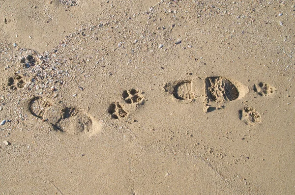 Footprints Sand Footsteps Man — стоковое фото