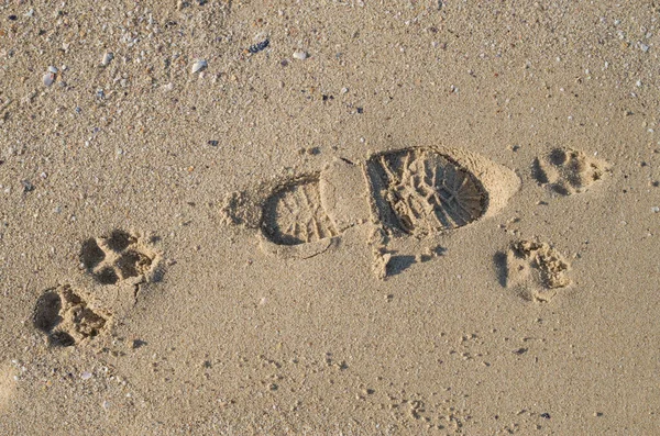 Footprints Sand Footsteps Man — 图库照片